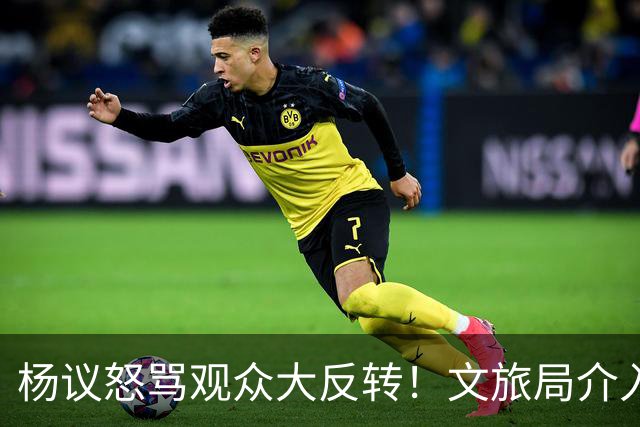 杨议怒骂观众大反转！文旅局介入，近期演出已暂停，原因曝光