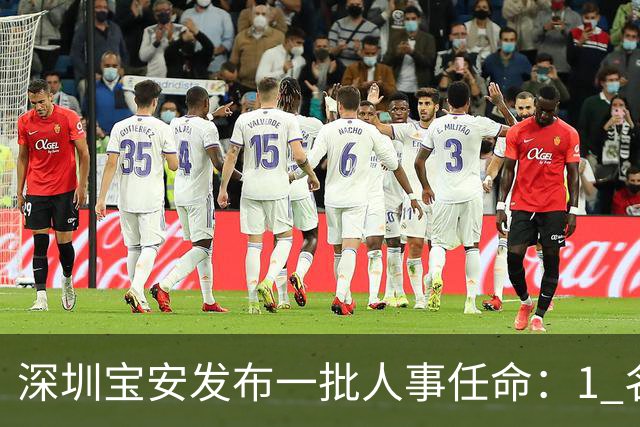 深圳宝安发布一批人事任命：1 名副区长、21 名局长