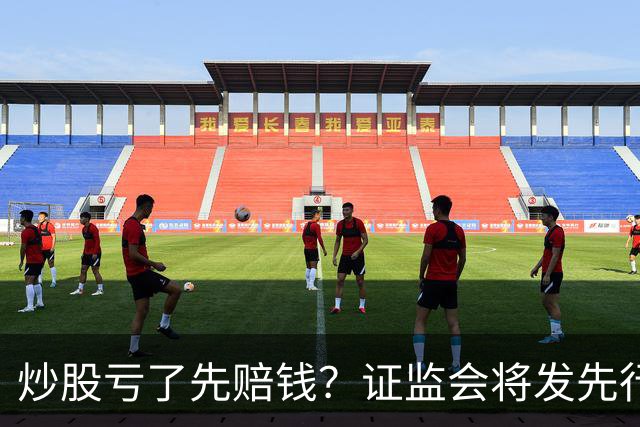 炒股亏了先赔钱？证监会将发先行赔付文件，中小投资者的腰杆直了