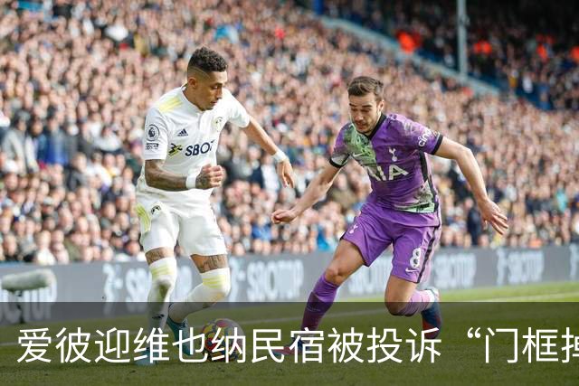 爱彼迎维也纳民宿被投诉“门框掉落一把刀”！平台称全额退款