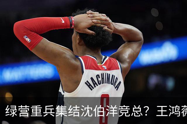 绿营重兵集结沈伯洋竞总？王鸿薇示警：蒋万安辩论恐遭断章取义